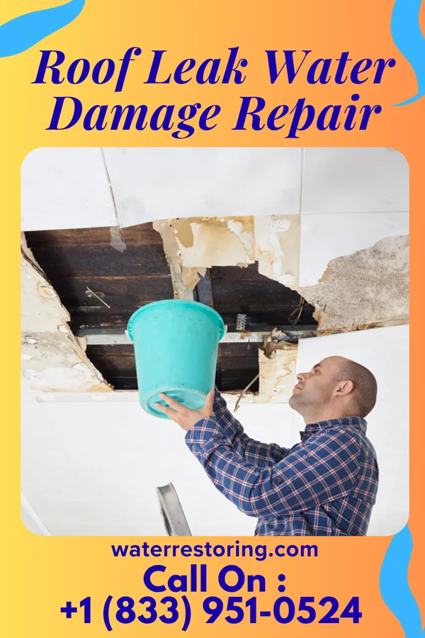 Roof Leak Water Damage Repair in Hazlehurst, GA